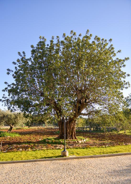 Villa Quinta Dos Tesouros São Brás de Alportel Exterior foto